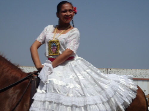 Peruvian Step Horse Show.